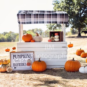 Pompoenstandaard digitale achtergrond