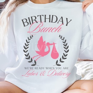 Labor and Delivery Team SVG PNG for L and D Nurse Shirt Design Birthday Bunch Social Club Cut File Registered Baby Nurse Digital Download