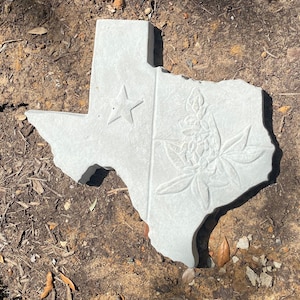 Texas Stepping Stone | Texas Garden Stone | Texas Blue Bonnet Stepping Stone | Texas Star Stepping Stone | Handmade Concrete Stepping Stone