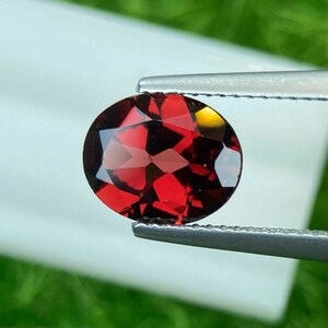 May include: A deep red oval-shaped gemstone with a faceted cut. The gemstone is held in place by a pair of tweezers.
