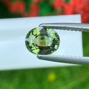 Natural Green Tourmaline Gemstone: 1.48 Cts, Oval Step Cut, Congo