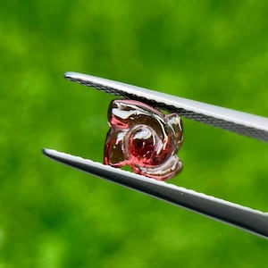 May include: A small, carved gemstone held by tweezers. The gem is a deep red colour with a flower-like shape. The tweezers are silver and the background is a blurred green.
