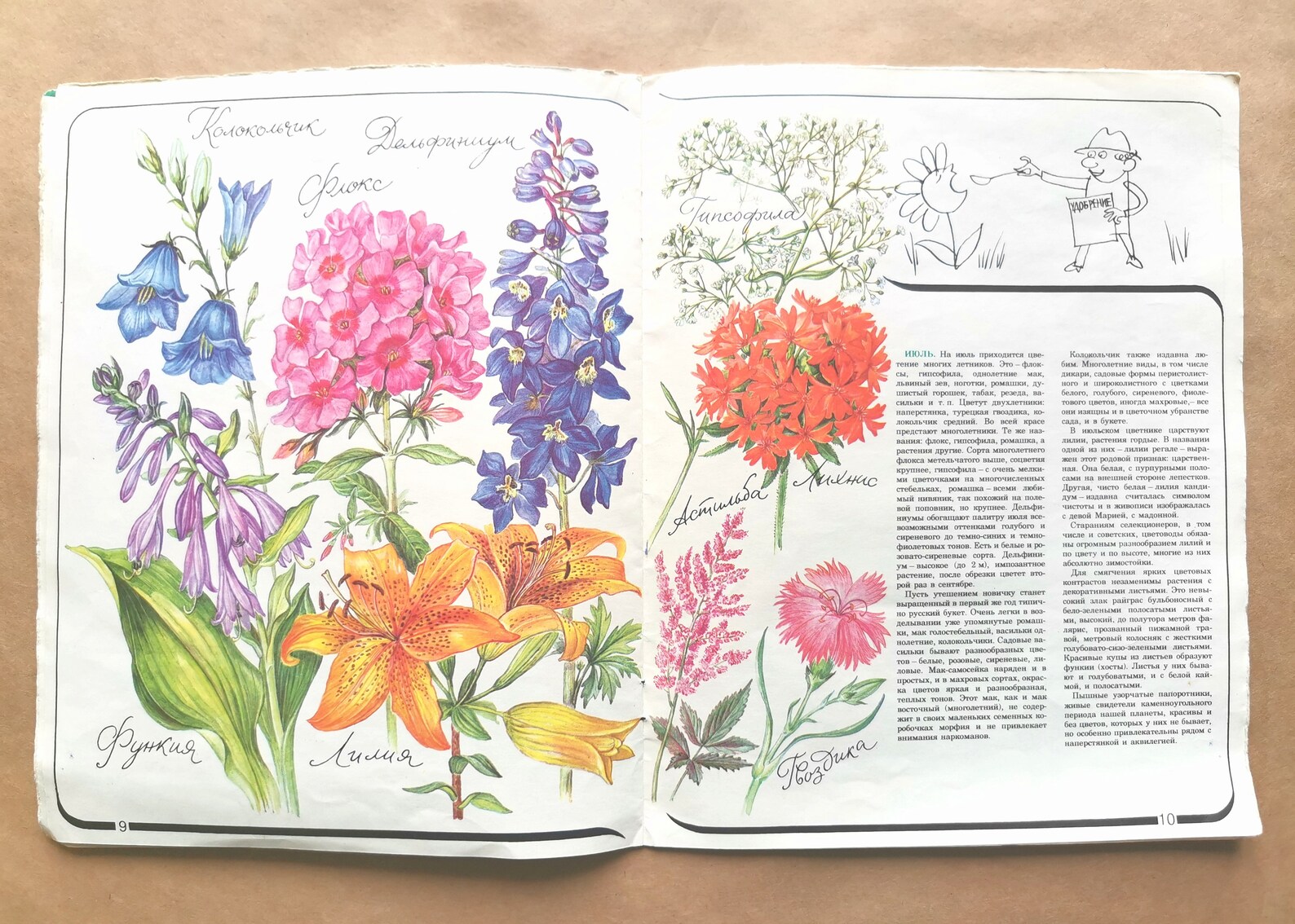 The illustrated book of garden flowers. Book of flower Etsy