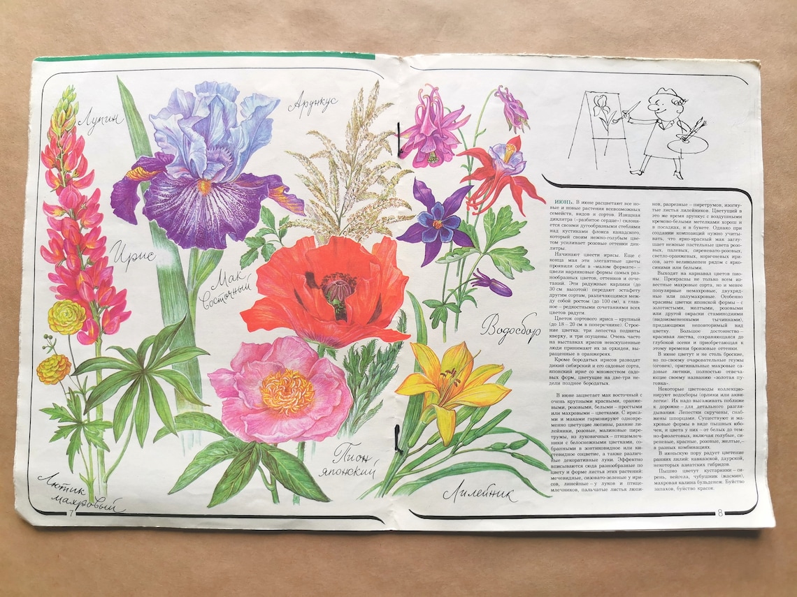 The illustrated book of garden flowers. Book of flower Etsy