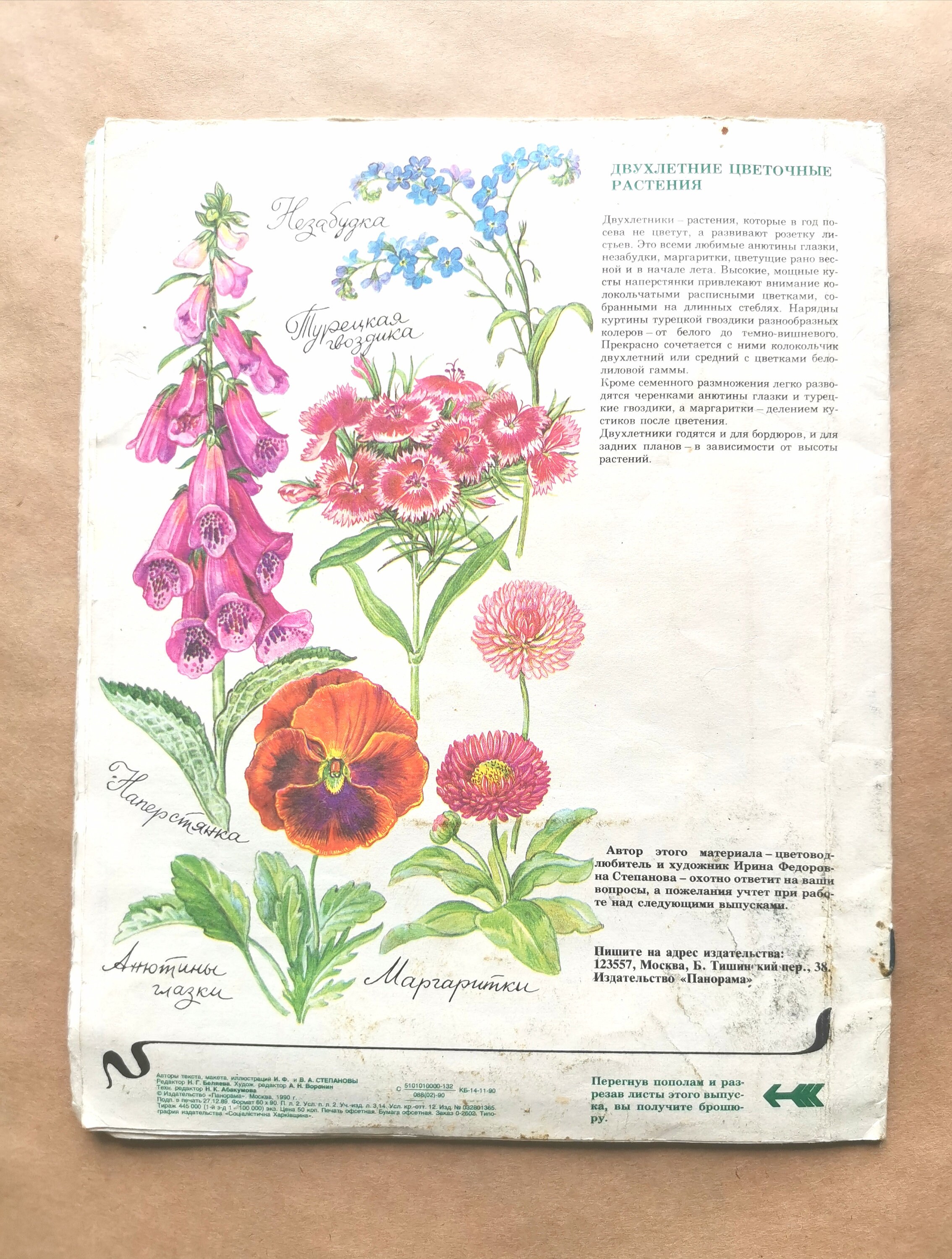 The illustrated book of garden flowers. Book of flower Etsy