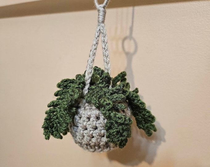 Car Fern Plant Flower