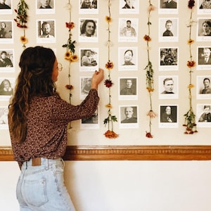 Full Collection Polaroid Saint Pack