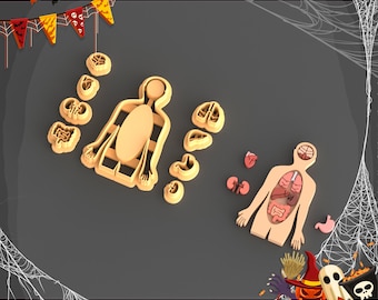Human Organs Clay Cutter Set: Medicine Biology STL Earring (Digital STL File)