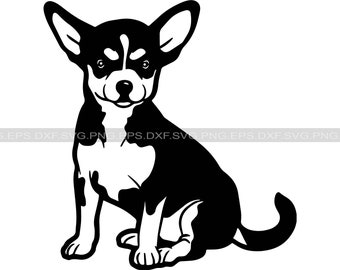 Chihuahua Svg Etsy