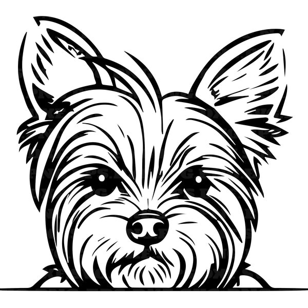 Yorkshire terrier, peeking dogs svg, png cut files, dog svg, png and svg, png files, instant download, digital clipart