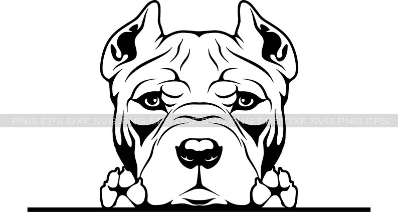 Download American Pit Bull dog svg png and svg png files instant | Etsy