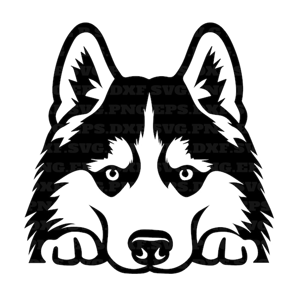 Husky, spähende Hunde svg, png geschnitten Dateien, Hund svg, png und svg, png Dateien, sofortiger download, digitale Clipart