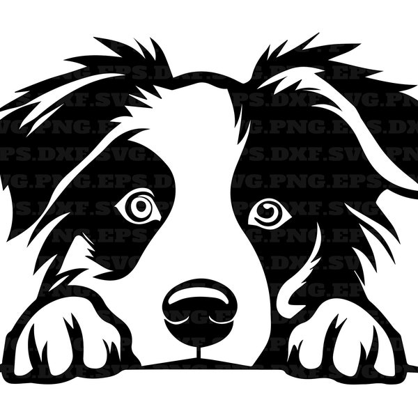 border collie, peeking dogs svg, png cut files, dog svg, png and svg, png files, instant download, digital clipart