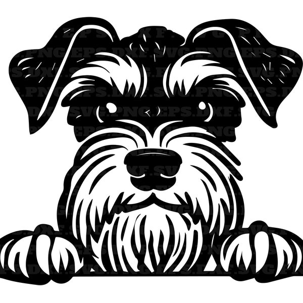 schnauzer, peeking dogs svg, png cut files, dog svg, png and svg, png files, instant download, digital clipart