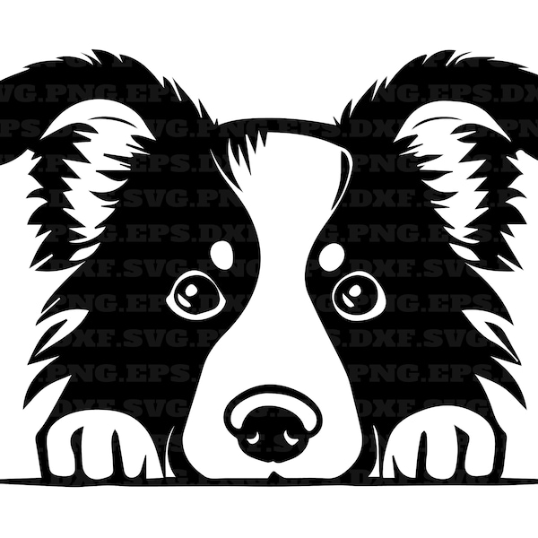 border collie, peeking dogs svg, png cut files, dog svg, png and svg, png files, instant download, digital clipart
