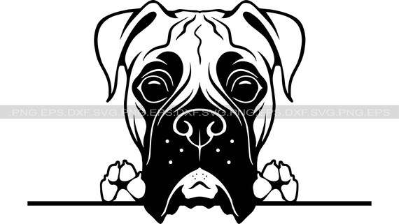 Download Boxer Dog Svg Png And Svg Png Files Instant Download Etsy Yellowimages Mockups