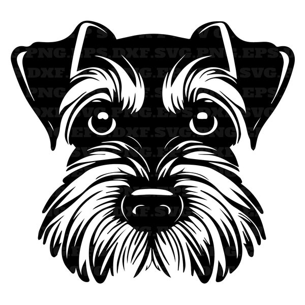 Schnauzer, furtivement chiens svg, fichiers png coupés, chien svg, png et svg, fichiers png, téléchargement immédiat, clipart numérique