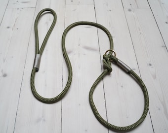 Retriever leash agility leash with ring in brass