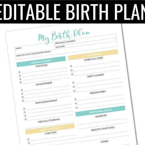 Downloadable Birth Plan - Etsy