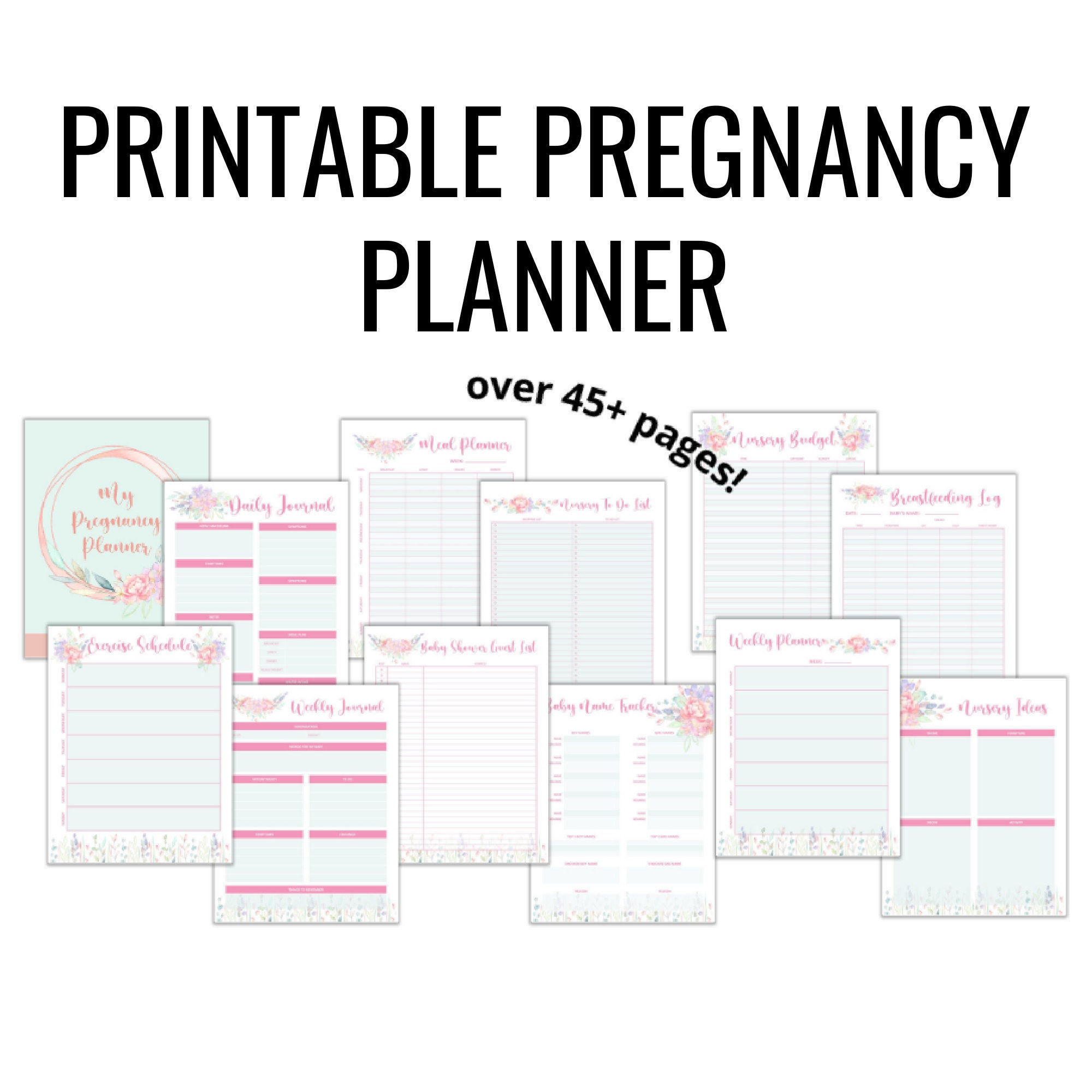 Baby PlannerPregnancy JournalPregnancy Planner | Etsy