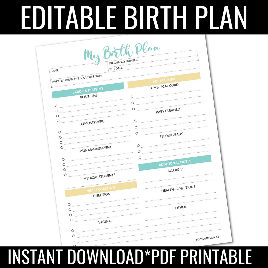 BIRTH PLAN Birth Plan Template Birth Preferences How to - Etsy Canada
