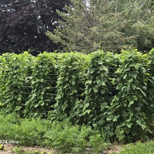 6&#39; EZ Trellis System- Add additional 3&#39; feet by connecting the previous trellis section Lifetime Warranty 100% Made in the USA