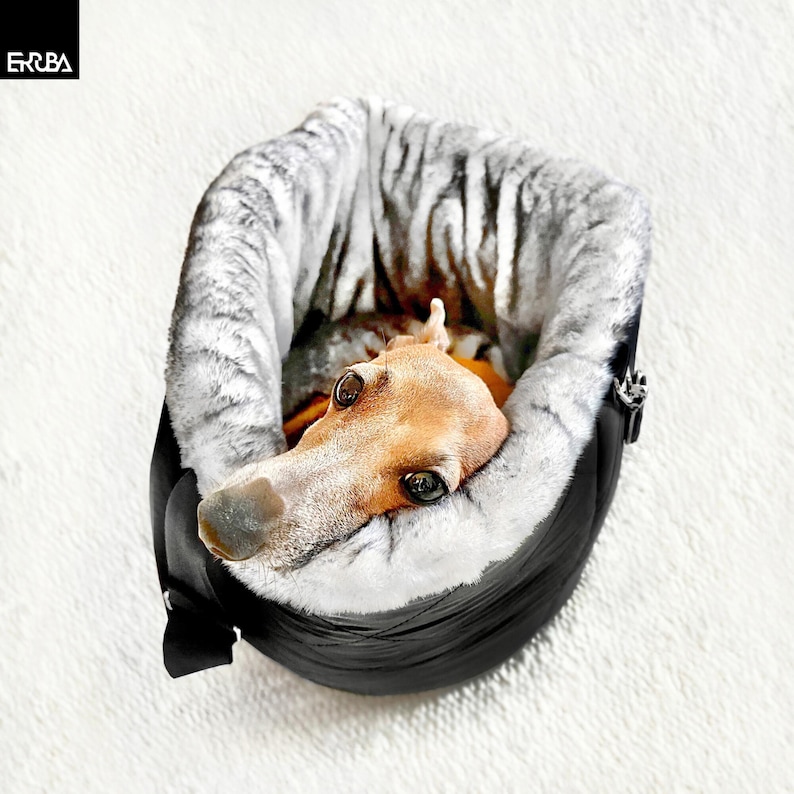 Small Italian greyhound in a round black dog carrier travel bag with fluffy gray faux fur lining