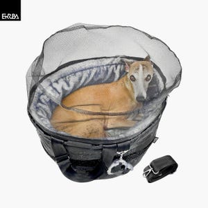 Op de afbeelding: Een zwarte draagtas voor huisdieren met een gaas bovenkant, een zacht interieur en een afneembare schouderriem. Een bruin en witte hond zit in de tas. De tas heeft een zilveren sluiting en een zwarte handgreep.