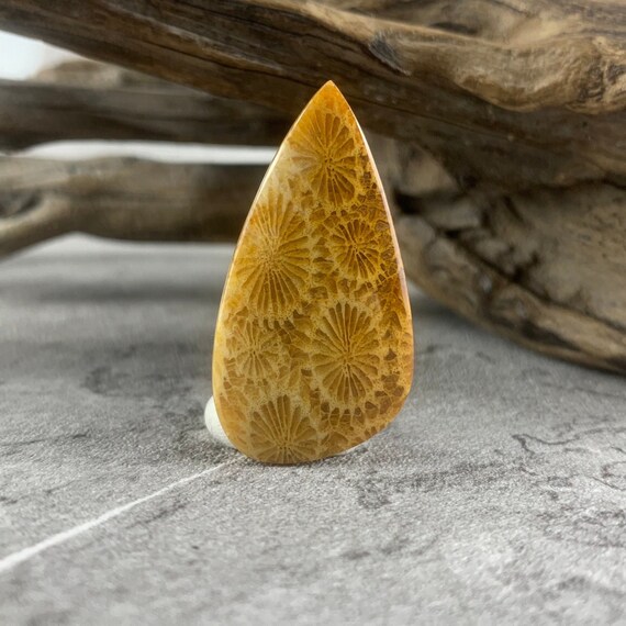 Fossil Coral cabochon gemstone - Neckalce jewellery - Gift newborn - Pendant jewelry