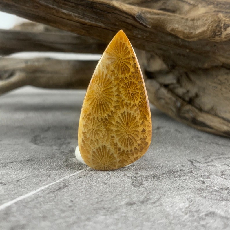 May include: A teardrop-shaped cabochon of fossilised coral with a yellow and brown colour. The coral has a detailed pattern of flower-like shapes.