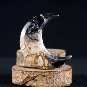 Fossil Palm Root Cabochon | Crescent Moon Carving | Healing Stone