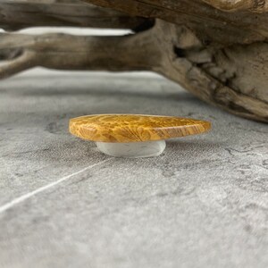 May include: A close-up of a small, light brown, wooden guitar pick with a unique, swirling grain pattern. The pick is sitting on a white, circular base.