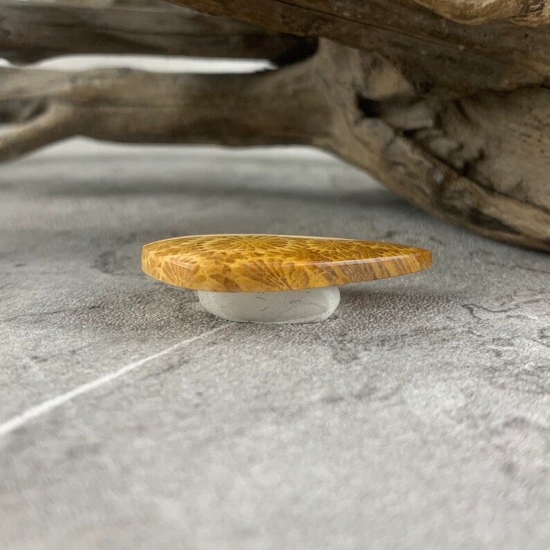 May include: A close-up of a small, light brown, wooden guitar pick with a unique, swirling grain pattern. The pick is sitting on a white, circular base.