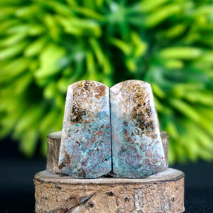 Puede incluir: Dos losas de piedra pulida con una mezcla de colores marrón, beige, azul y turquesa. Las piedras se exhiben sobre una pequeña base de madera redonda, con un fondo verde borroso.