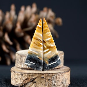 May include: Two triangular-shaped, polished gemstones with a layered pattern of tan, white, and black. The stones are displayed on a small, rustic wooden stand, showcasing their natural colors and textures. The background is dark.
