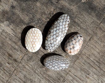 Snakeskin Agate Cabochon: Fossil Fish Heart Gemstone for Jewelry