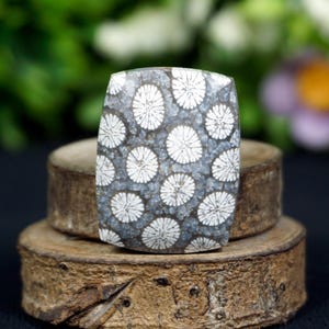 Unique Fossilized Coral Cabochon, Rectangle Chrysanthemum Coral Stone, High Polish Black White Petrified Coral Gemstone for Wire Wrap