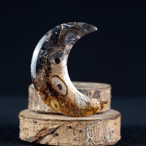 Boho Crescent Fossil Cab | Palm Root Gemstone for Wire Wrapping