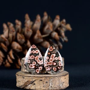 以下が含まれることがあります： 暗い背景に、茶色とピンクの斑点模様が施された、涙の形をした2つの宝石。 石は小さな素朴な木の台座に置かれ、背景にはぼやけた松ぼっくりがあります。 宝石は磨かれ、光沢のある仕上がりになっています。