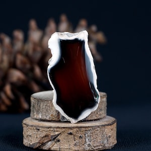 Freeform Banded Carnelian Cabochon – Earthy & Elegant Look
