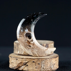 Crescent Moon Cabochon | Fossil Palm Root | Unique Carving for Jewelry