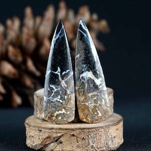 Può includere: Due ciondoli in pietra preziosa lucida con un motivo bianco e nero, esposti su un piccolo supporto in legno. Le pietre preziose hanno una forma triangolare con una parte superiore appuntita e un aspetto marmorizzato. Lo sfondo è scuro.