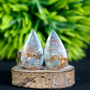 Puede incluir: Dos piedras preciosas en forma de lágrima con un patrón azul y marrón, expuestas sobre un pequeño soporte de madera. Las piedras tienen una superficie pulida y vetas intrincadas. El fondo presenta follaje verde borroso.