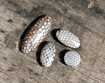 Snakeskin Cabochon mix size 25 - 9 Millimeters | Ring Size Jewelry