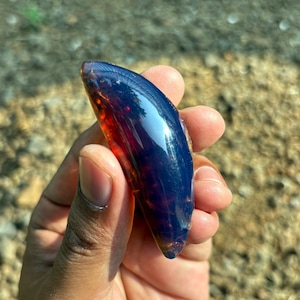 May include: A polished, crescent-shaped piece of blue amber displaying a deep, translucent navy blue hue on the surface that transitions into a warm, glowing reddish-orange tone within the interior, featuring a smooth, reflective finish.