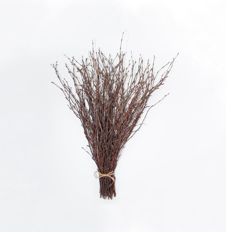 Birch Twigs 100 Natural Decorative Birch Branches for Etsy