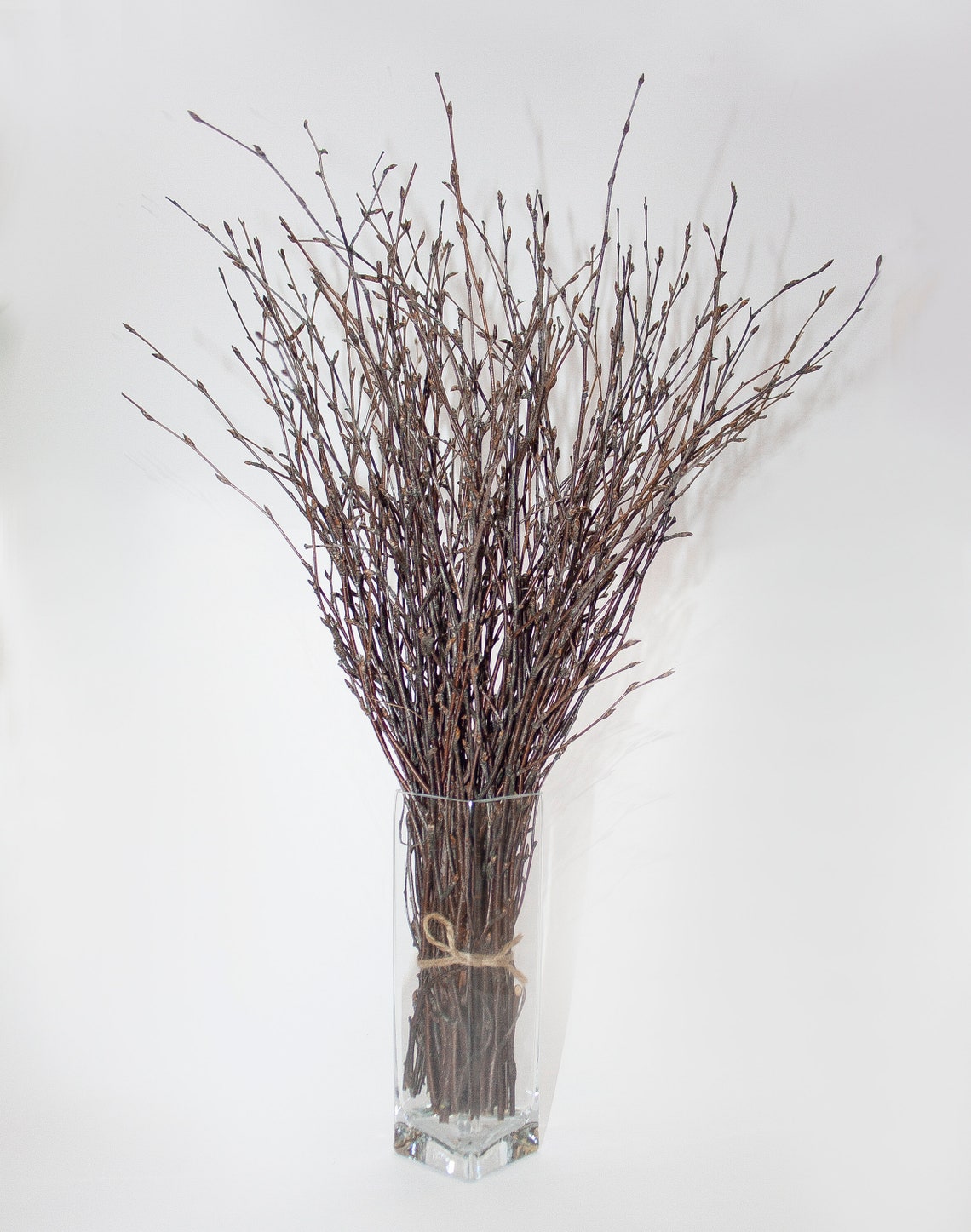 Birch Twigs 100 Natural Decorative Birch Branches for Etsy