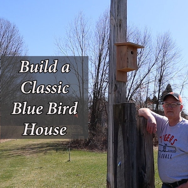 Plans to Build a Classic Blue Bird House