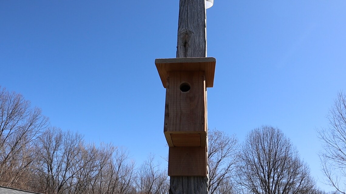 Plans to Build a Classic Blue Bird House Etsy