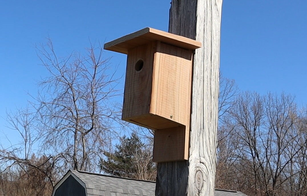 Plans to Build a Classic Blue Bird House - Etsy